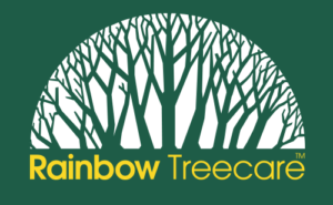 Rainbow Treecare