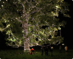 Minnesota Holiday Lighting Services