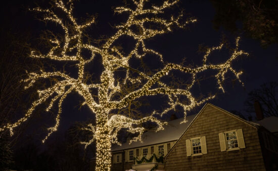 large oak tree in front yard wrapped with soft white lights around trunk and stems