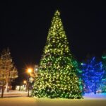 Christmas Tree with Lights