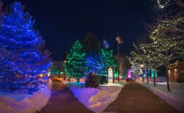 colored lights wrapped around various trees in the City of Burnsville