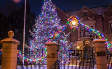 multi-colored holiday lights draped along fence and wrapped around large conifer in front of governor's mansion