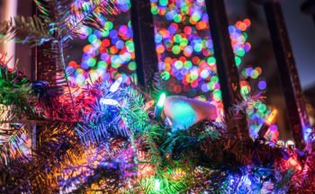 Feeling a bit festive with Holiday Lights