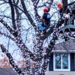 A Rainbow Holiday Design worker installing lights on a home in the Twin Cities