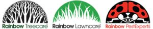 Rainbow Tree Company Family