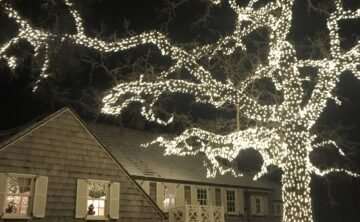House with lighted tree in foreground