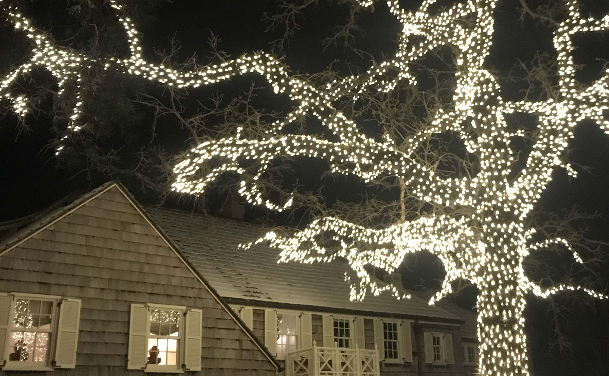 Christmas Light Installation in Englewood CO