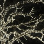 Silhouette of tree lit up for the holidays