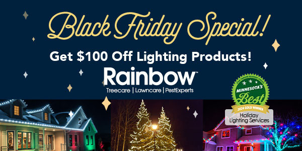 Black Friday Special on Holiday Lights