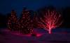 Three trees with red holiday lights