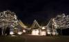 Simple Christmas Lights from Rainbow Treecare