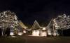 Simple Christmas Lights from Rainbow Treecare