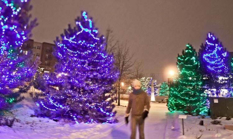 Commercial Holiday Lights