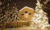 Beautifully Lit Spruce Tree with Snow