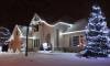 Cool White Lights Along Roofline and in Trees