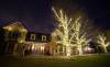 Two story home in Eden Prairie with white Christmas lights along roof line and three large trees with trunk and branch wraps.