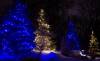 Bold blue lights in the garden